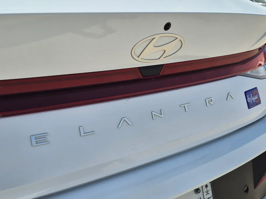 2024 Hyundai Elantra Fleet 