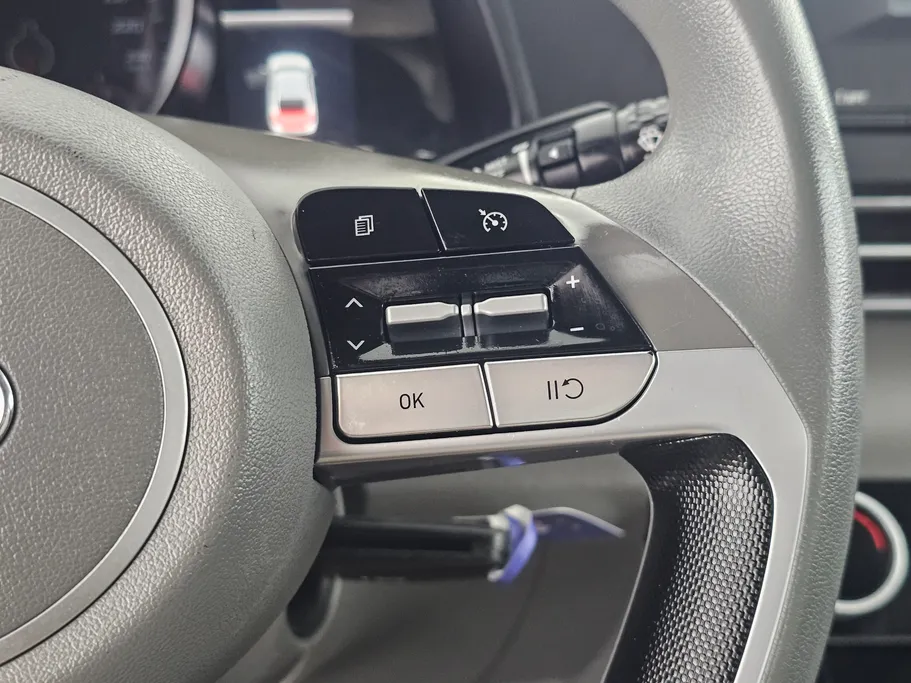 2021 Hyundai Elantra Fleet 