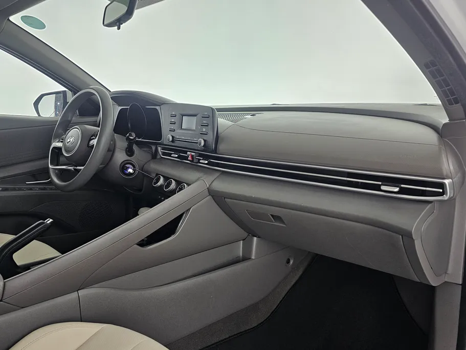 2021 Hyundai Elantra Fleet 