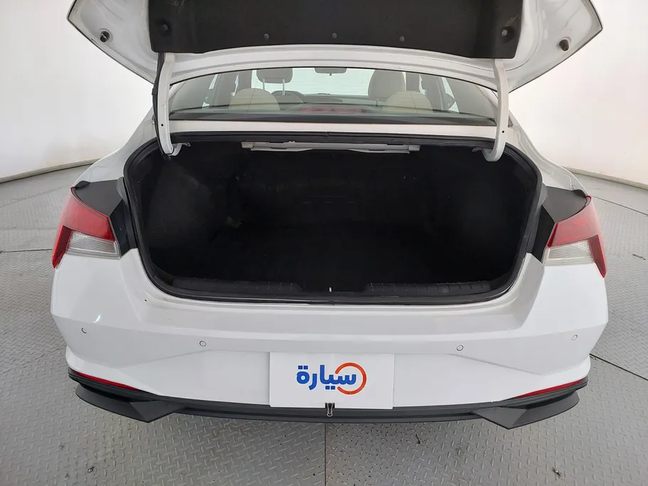 2021 Hyundai Elantra Fleet 