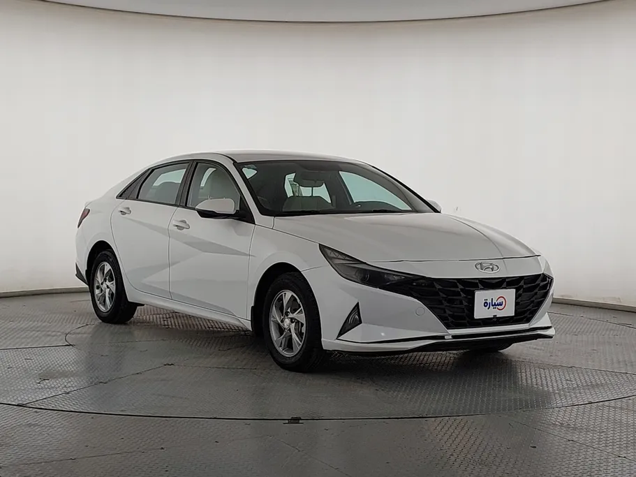 2021 Hyundai Elantra Fleet 