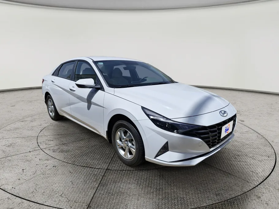 2023 Hyundai Elantra Fleet 