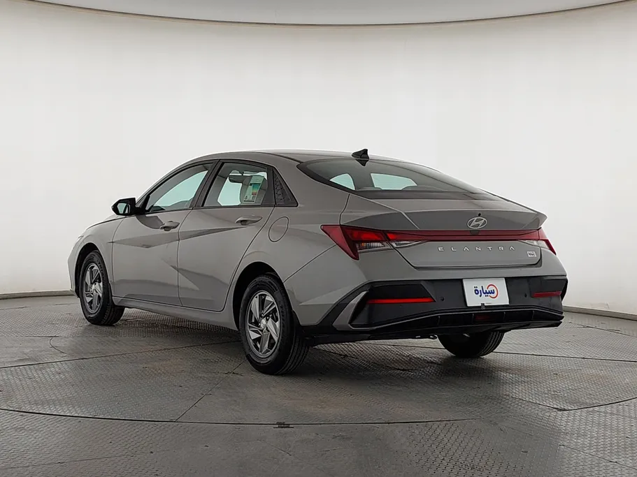 2024 Hyundai Elantra Fleet 