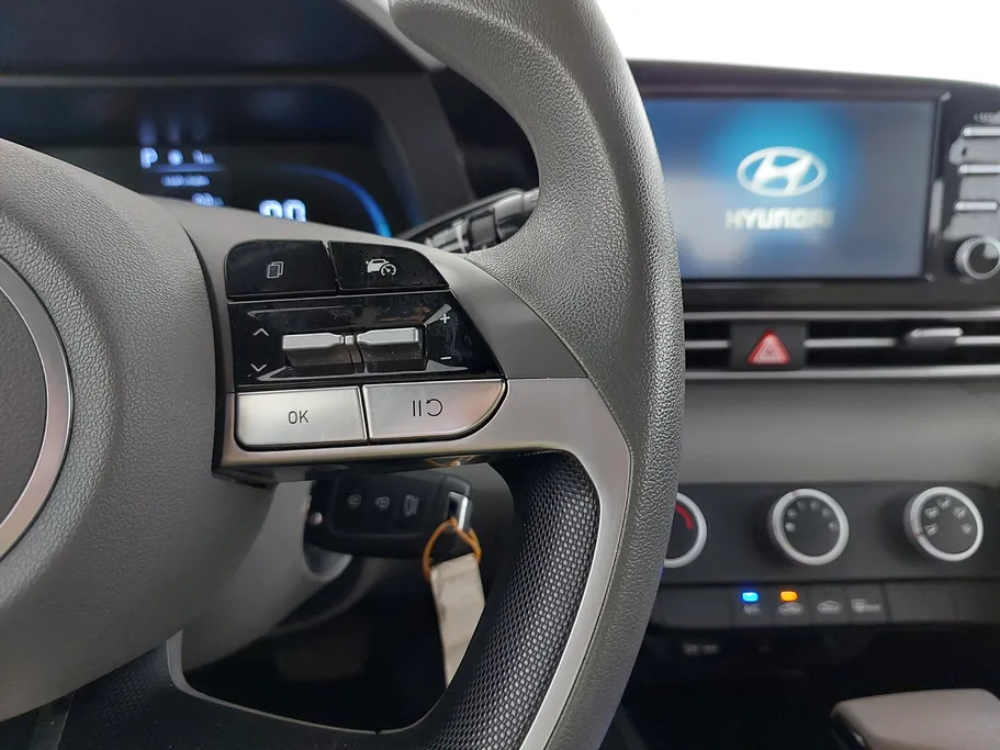 2024 Hyundai Elantra Fleet 