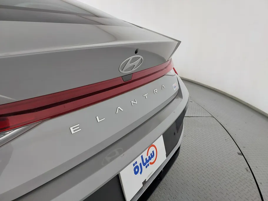2024 Hyundai Elantra Fleet 
