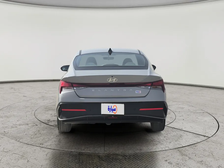 2024 Hyundai Elantra Fleet 