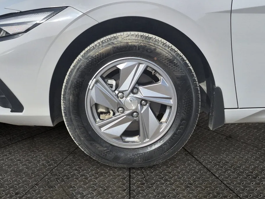 2024 Hyundai Elantra Fleet 