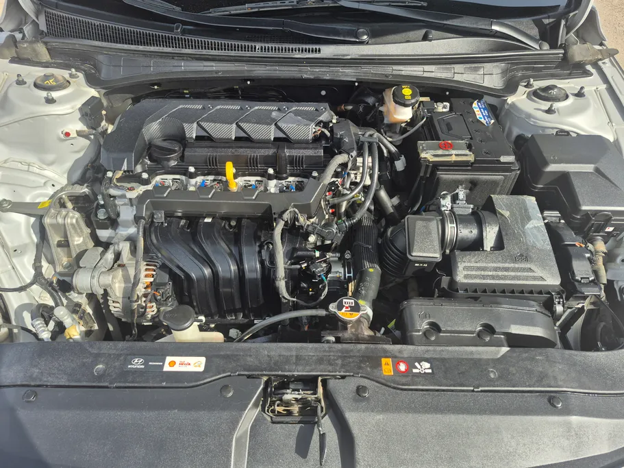 2024 Hyundai Elantra Fleet 