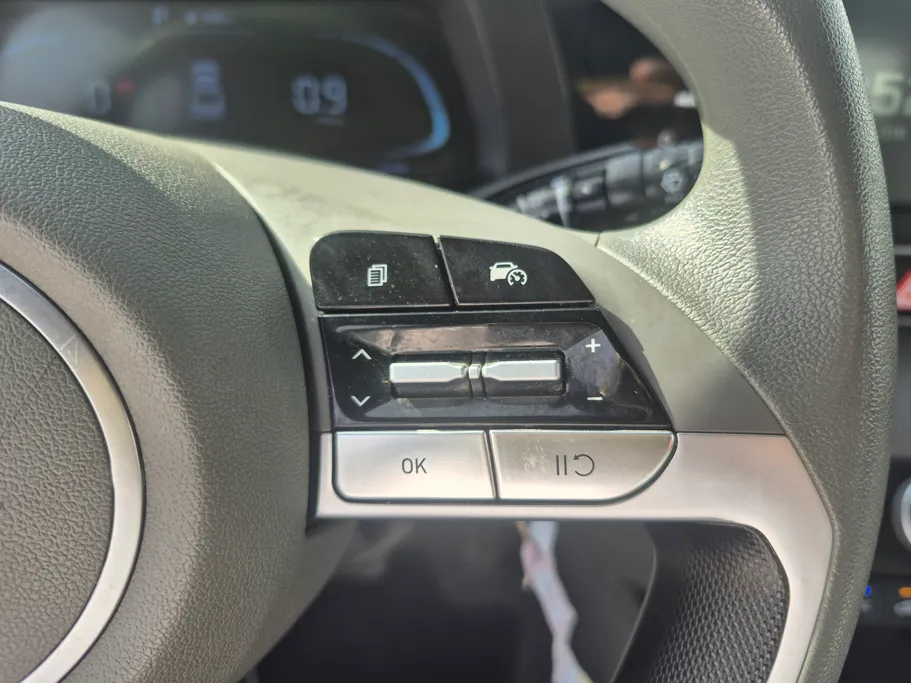 2024 Hyundai Elantra Fleet 