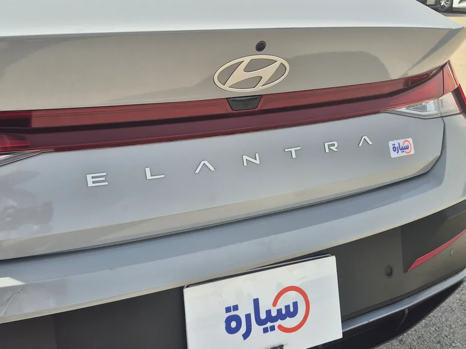 2024 Hyundai Elantra Fleet 