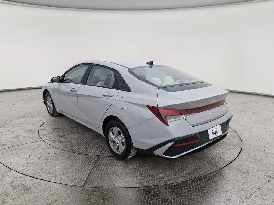 2024 Hyundai Elantra Fleet 