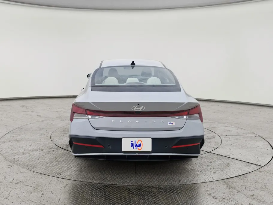 2024 Hyundai Elantra Fleet 