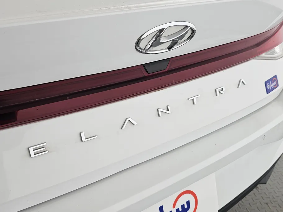 2021 Hyundai Elantra Fleet 