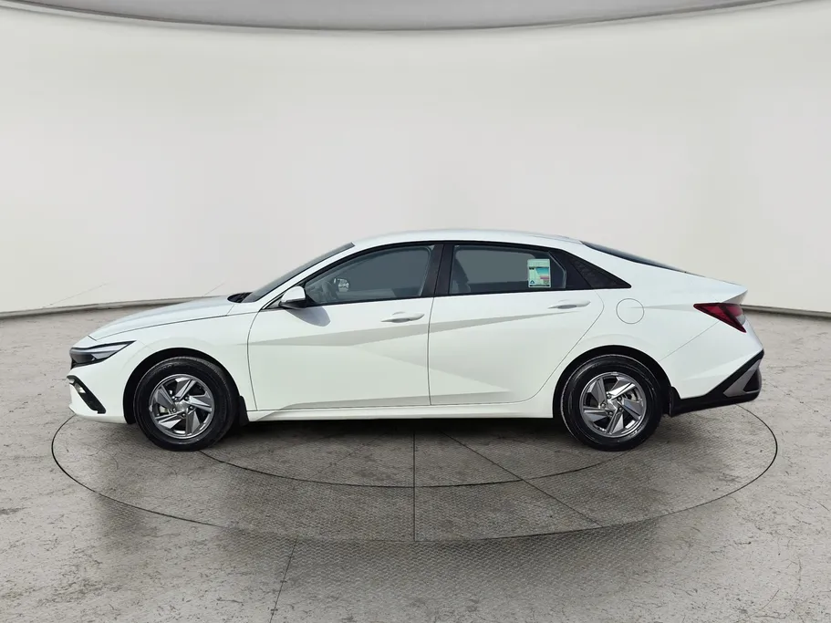 2024 Hyundai Elantra Fleet 