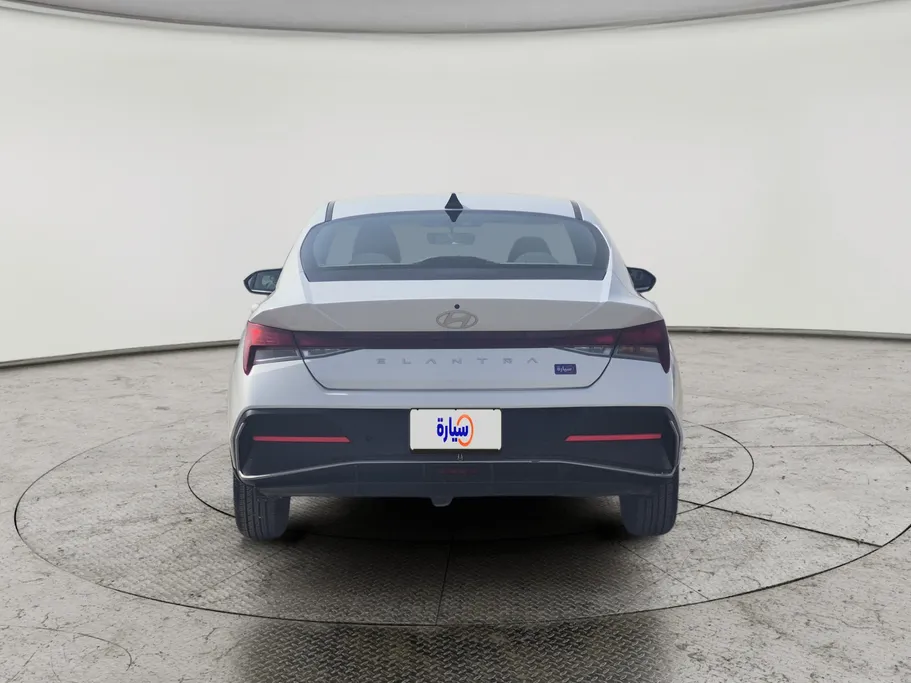 2024 Hyundai Elantra Fleet 