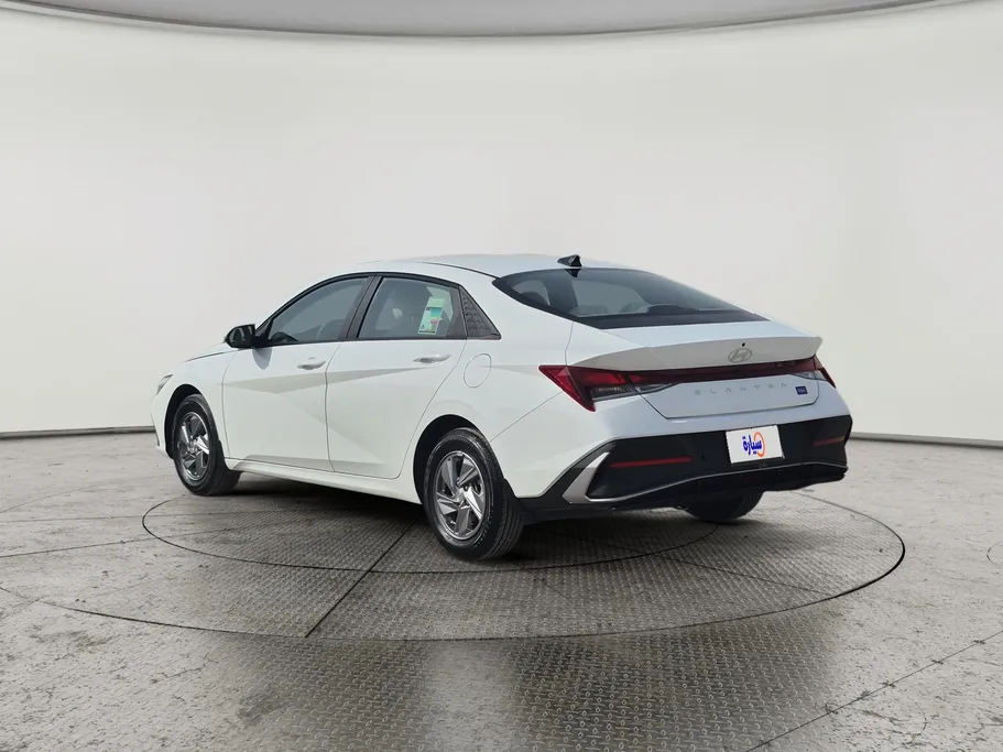 2024 Hyundai Elantra Fleet 