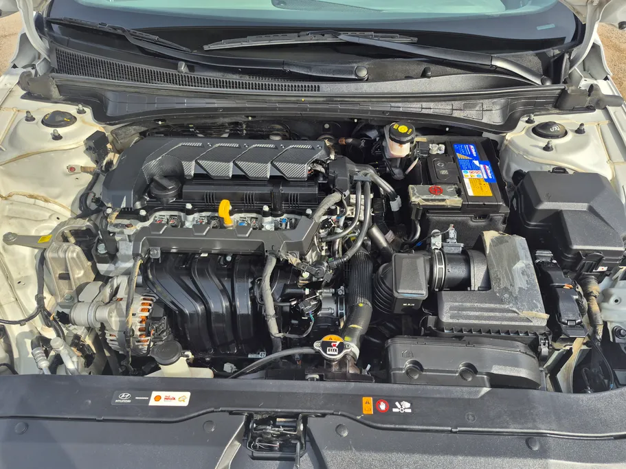 2024 Hyundai Elantra Fleet 