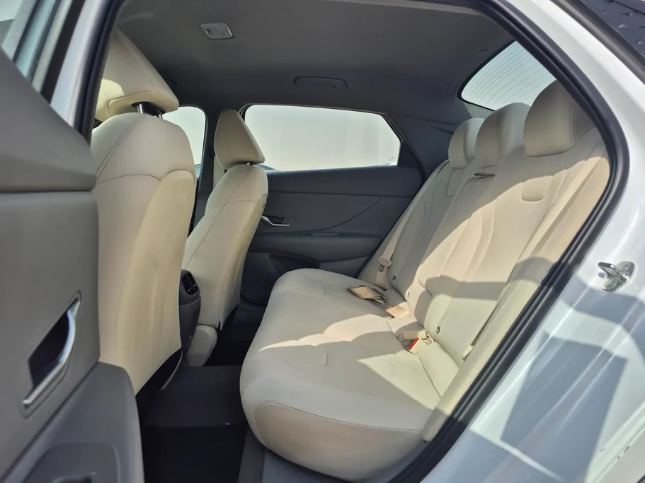 2024 Hyundai Elantra Fleet 