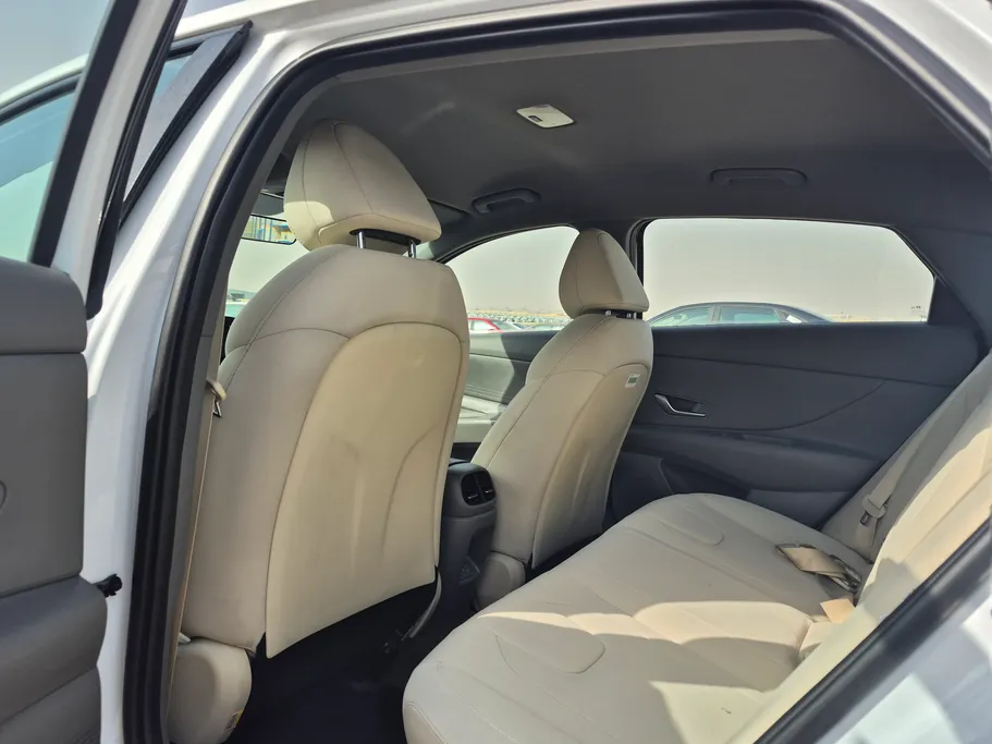 2024 Hyundai Elantra Fleet 