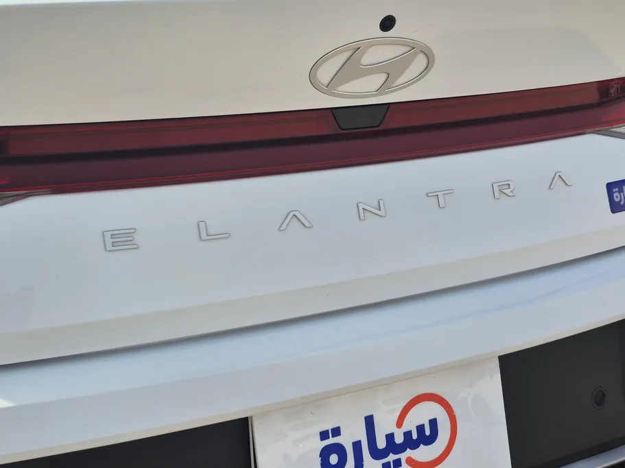 2024 Hyundai Elantra Fleet 