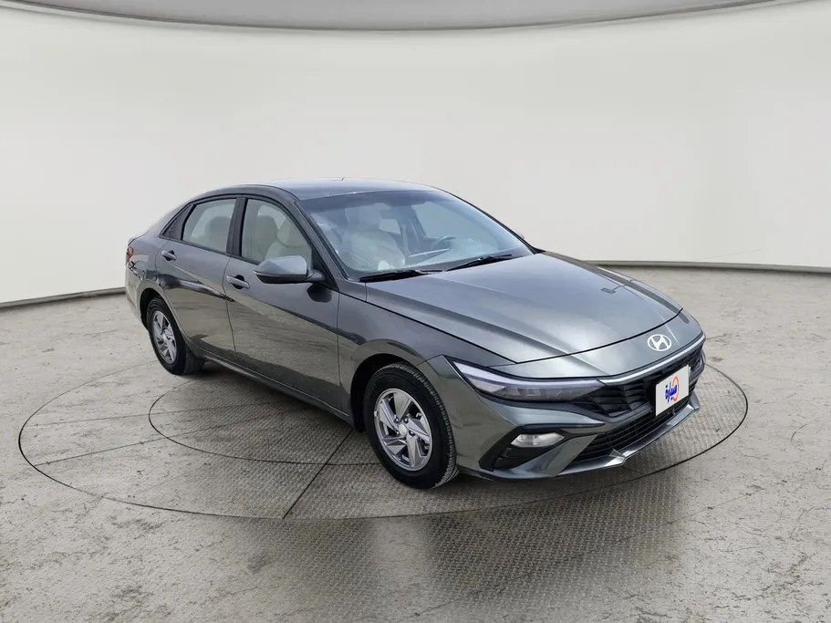 2024 Hyundai Elantra Fleet 