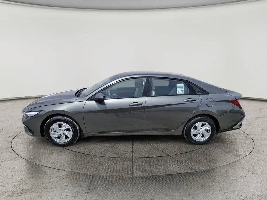 2024 Hyundai Elantra Fleet 