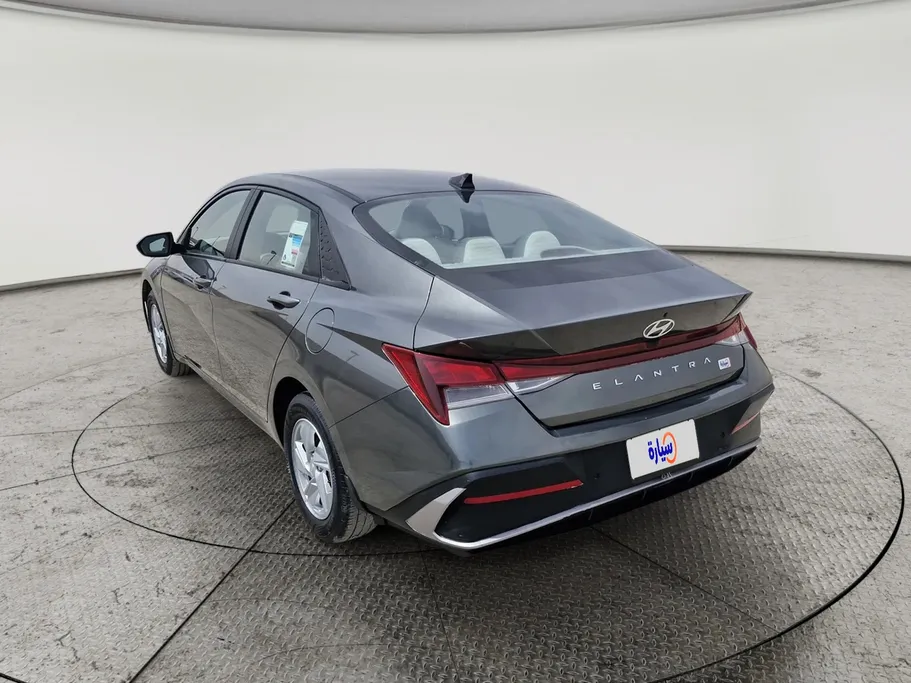 2024 Hyundai Elantra Fleet 