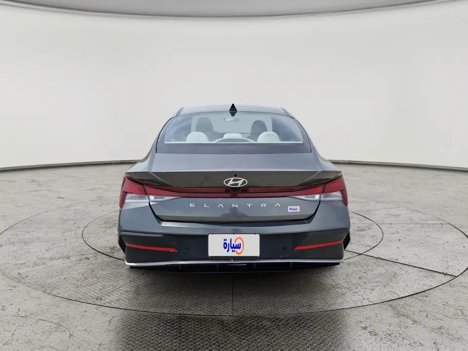 2024 Hyundai Elantra Fleet 