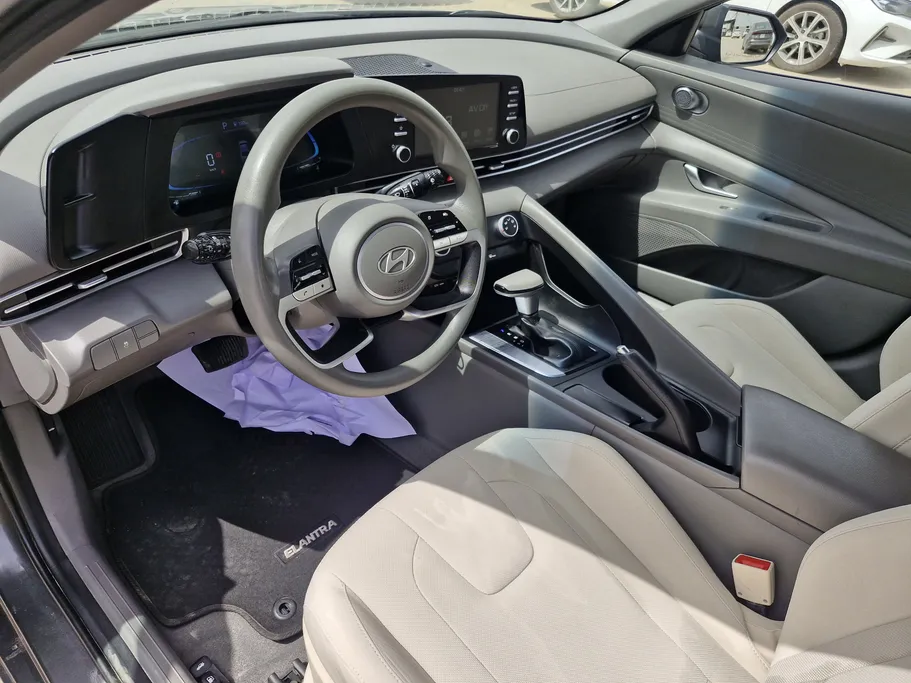 2024 Hyundai Elantra Fleet 