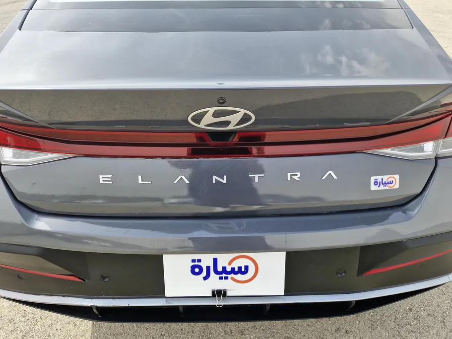 2024 Hyundai Elantra Fleet 
