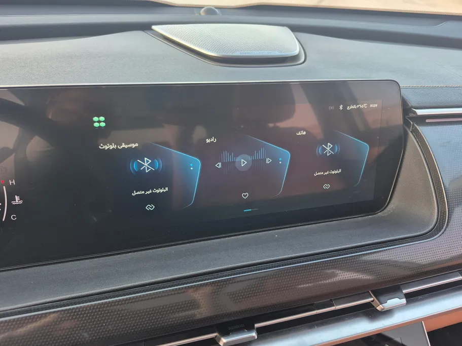 2024 BAIC X7 Luxury 