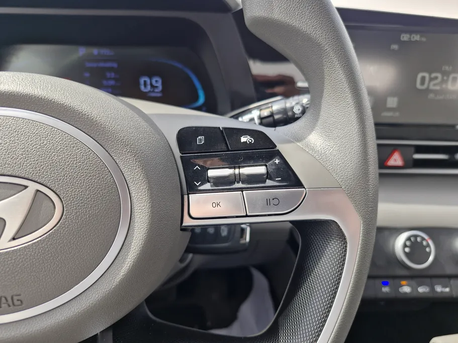 2024 Hyundai Elantra Fleet 