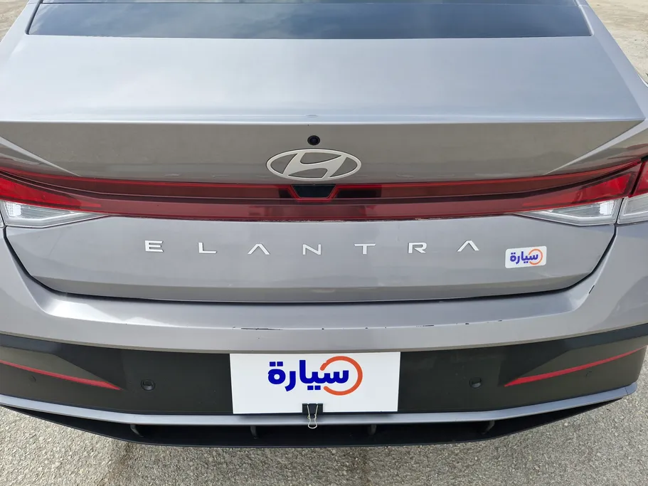 2024 Hyundai Elantra Fleet 