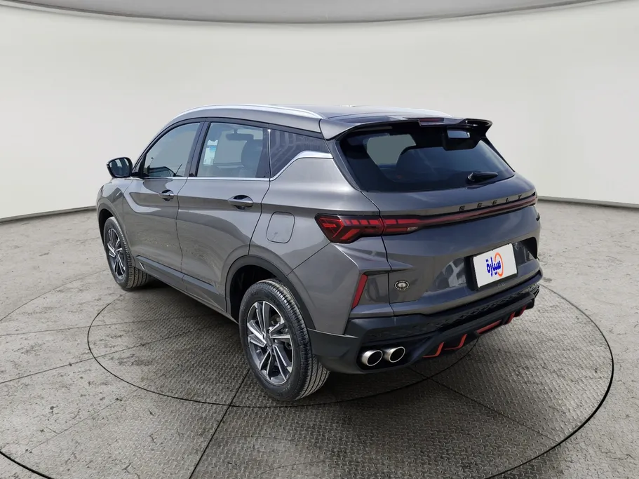 جيلي كول راي Basic GS 2024 