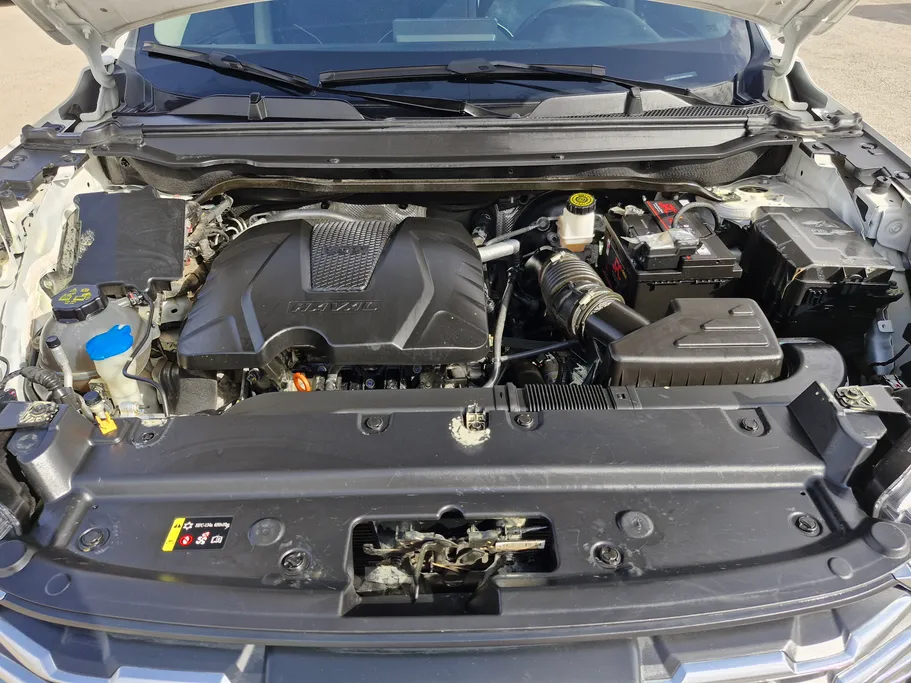 هافال جوليان بيسك 2023 