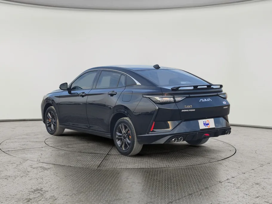 دونج فينج شاين E1 2024 