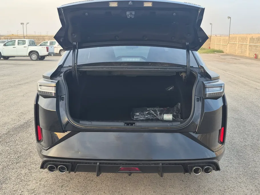 دونج فينج شاين E1 2024 