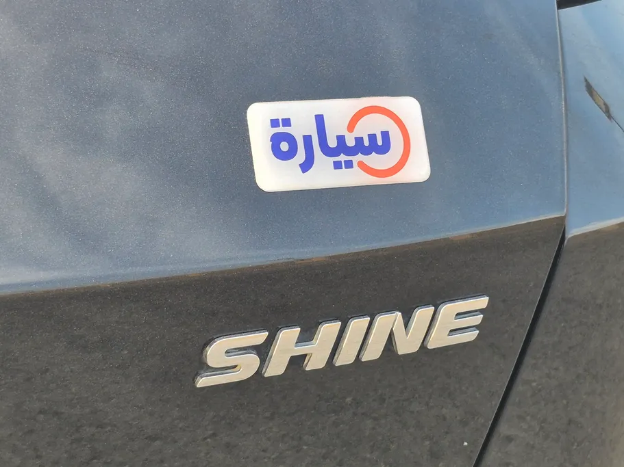دونج فينج شاين E1 2024 