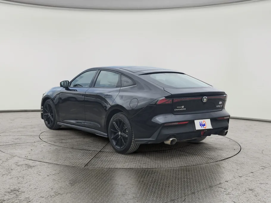 شانجان يوني في Elite 2024 