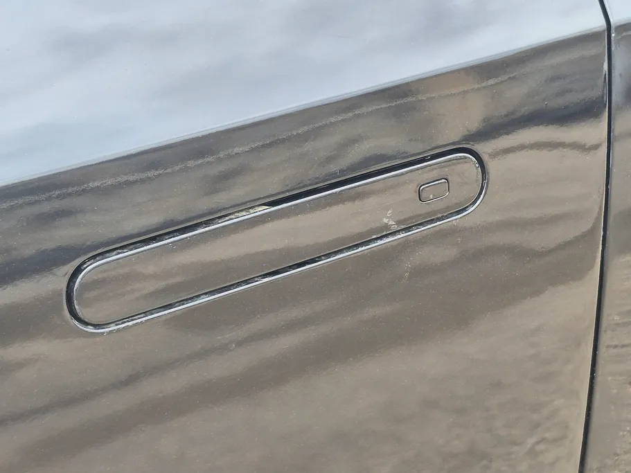 شانجان يوني في Elite 2024 