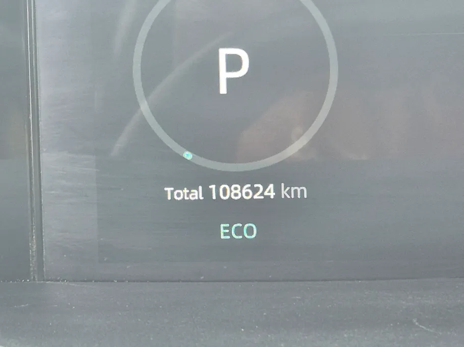 شانجان يوني في Elite 2024 