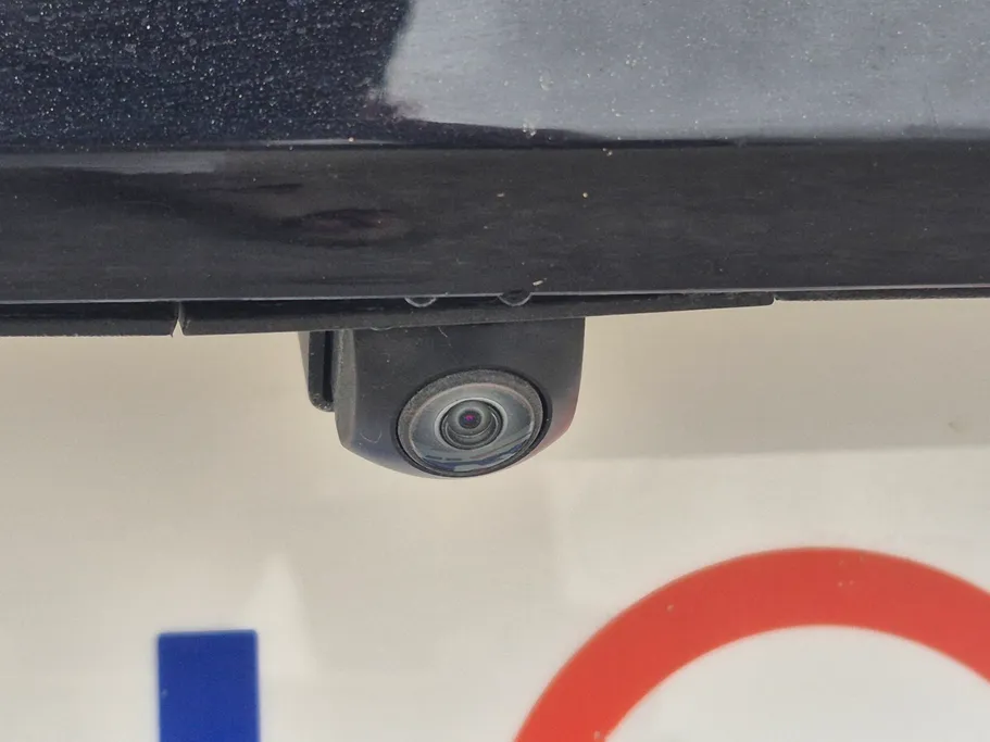 شانجان يوني في Elite 2024 