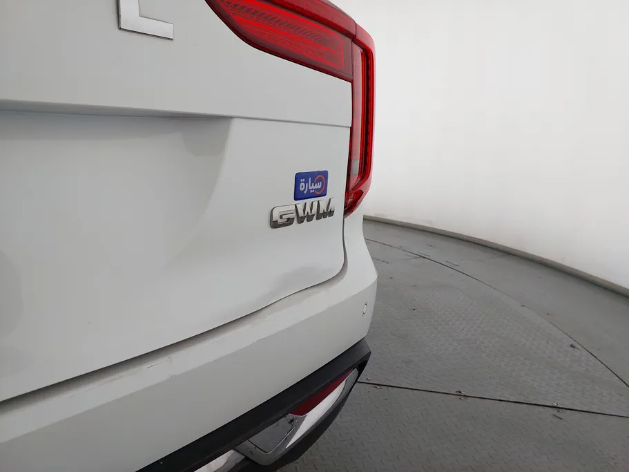 هافال جوليان بيسك 2024 