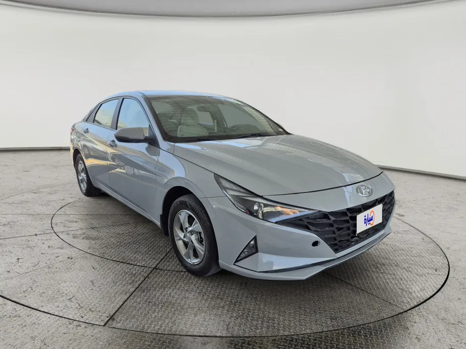 2023 Hyundai Elantra Fleet 