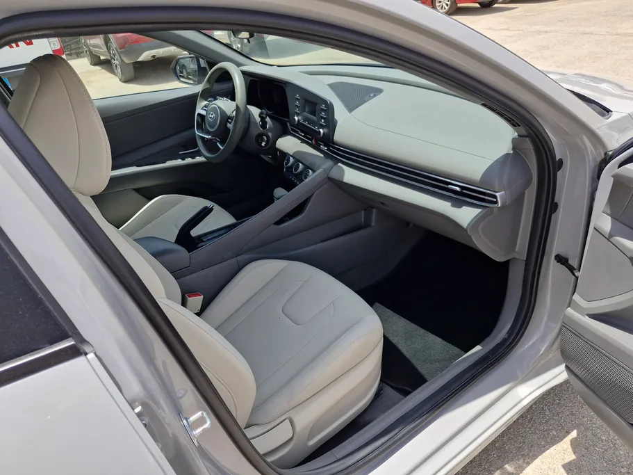 2023 Hyundai Elantra Fleet 