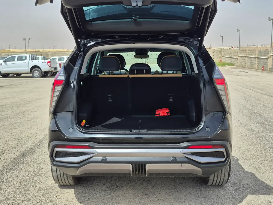 2024 Geely StarRay GK 