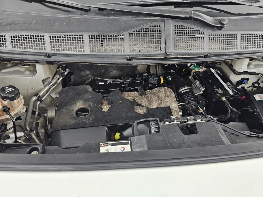 2021 Peugeot Expert VAN 