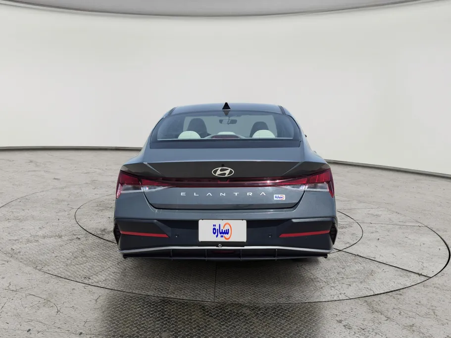 2024 Hyundai Elantra Fleet 
