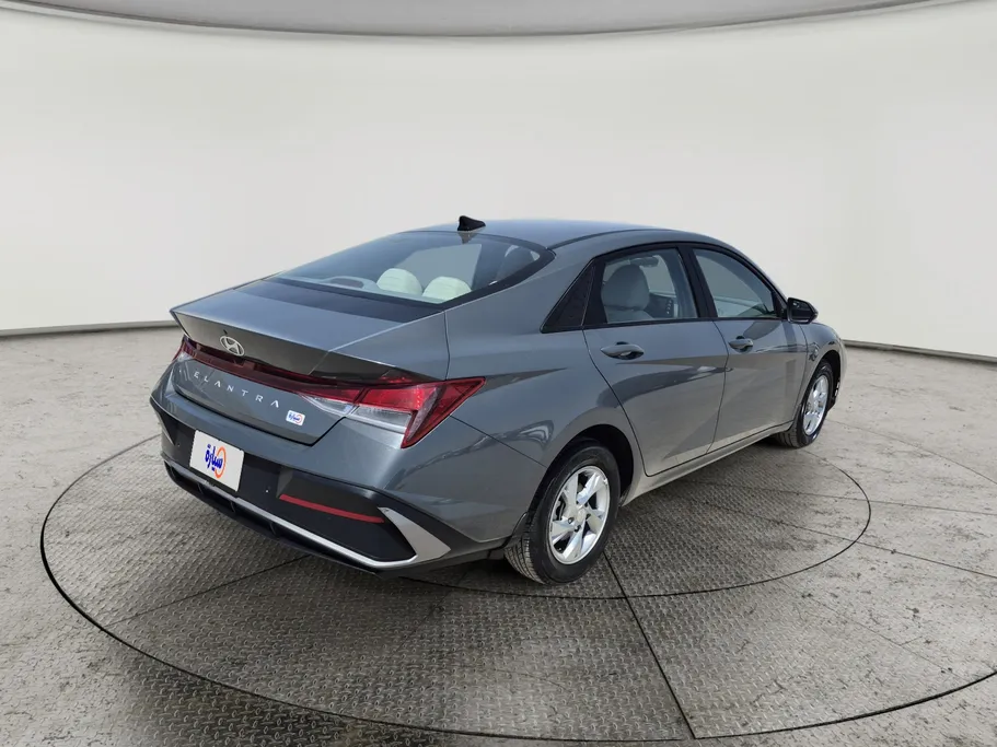 2024 Hyundai Elantra Fleet 