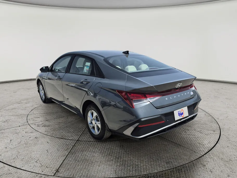 2024 Hyundai Elantra Fleet 